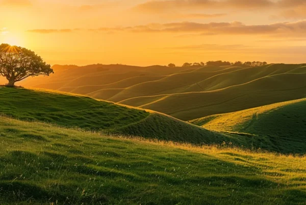 local dentist grand prairie tx